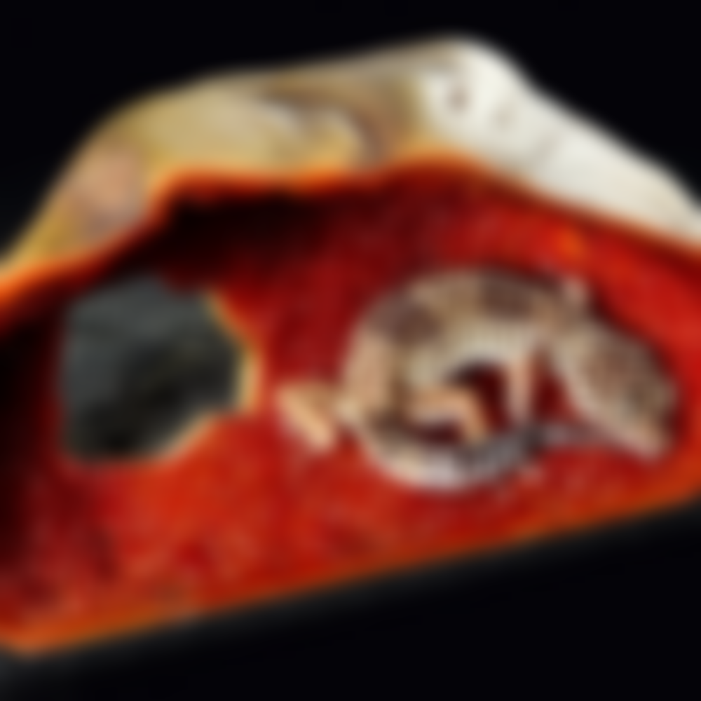 Exo-Terra-Crystal-Cave,-Medium_6
